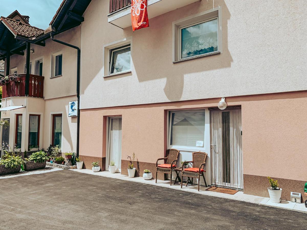 Apartments Ivanovic Идрия Екстериор снимка
